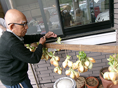 採れたよ玉ねぎ 8/12