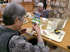 採れたよ玉ねぎ 11/12